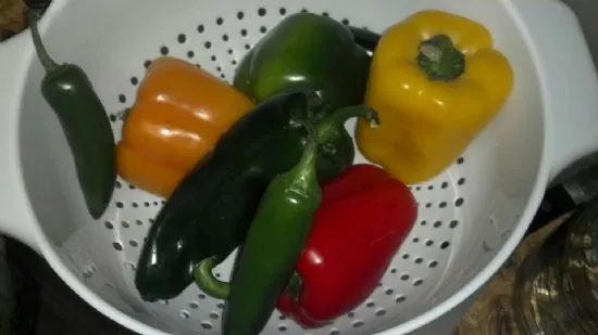 Pogomops Gemüse-Chili