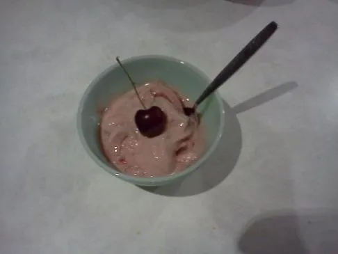 Hausgemachtes veganes Eis