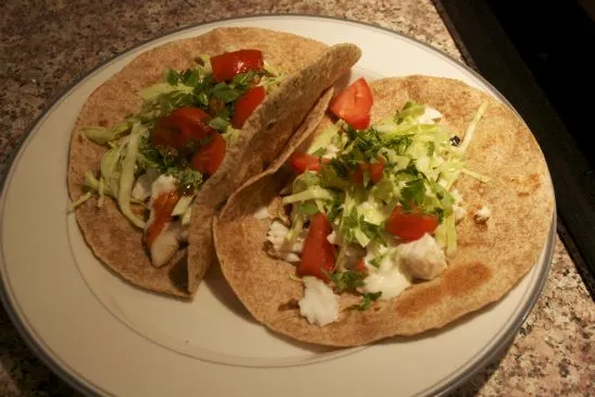 Tilapia-Fisch-Burrito / Taco
