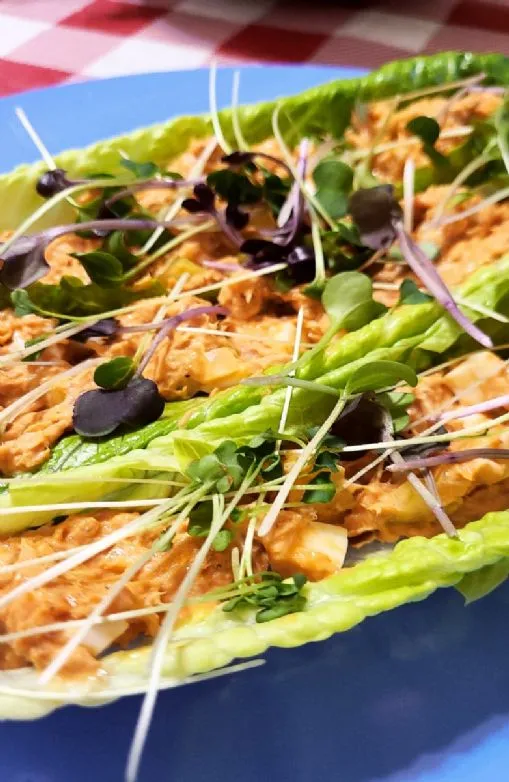 Buffalo-Stil Thunfisch-Salat