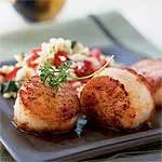 Einfach angebratene Jakobsmuscheln