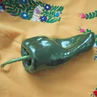 Hühnchen-Chili mit weißen Bohnen