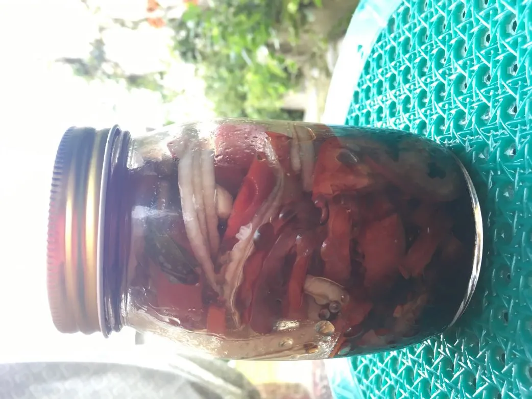 Balsamico-Pflaumentomaten