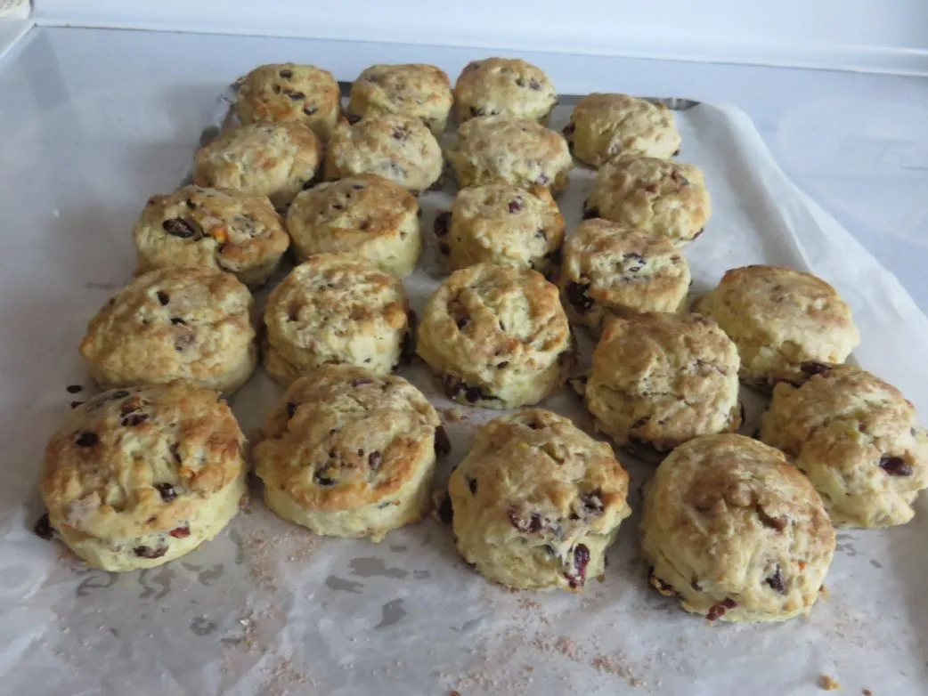 Flossies Cranberry-, Walnuss- und Orangenscones