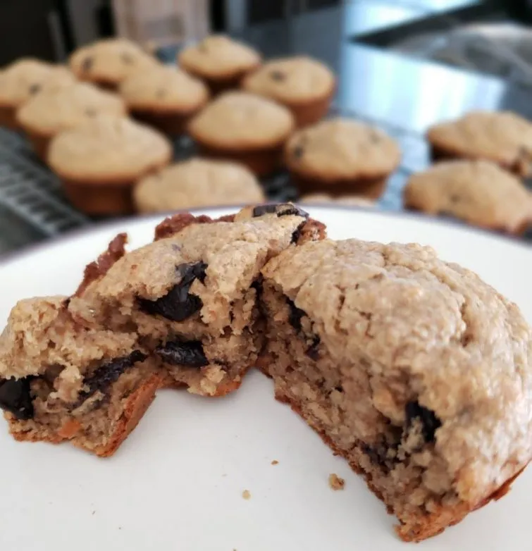 Bananen-Kokos-Hafer-Muffins (glutenfrei)