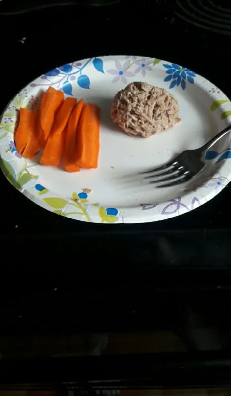 Einfacher Thunfischsalat