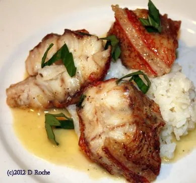 Sautierter Rotbarsch