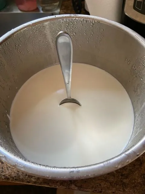 Instant Pot Vanille-Griechischer Joghurt