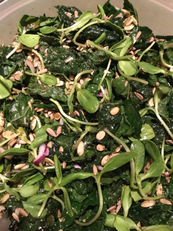 Küsten-Grünkohl-Salat