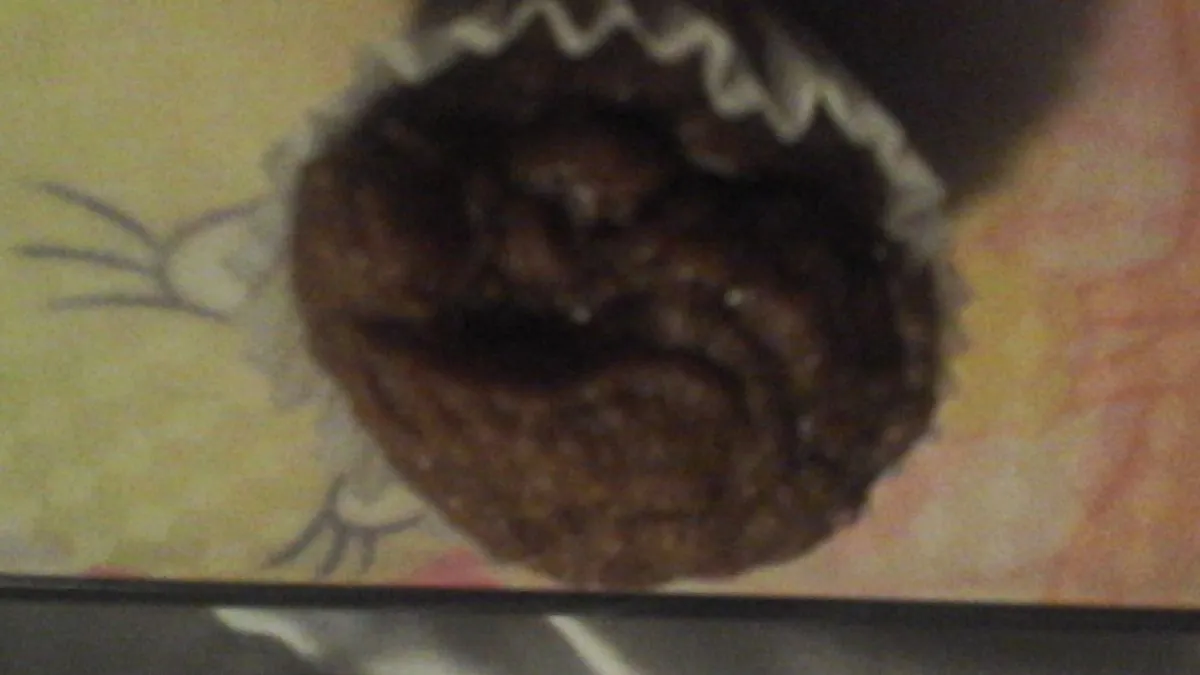 Kürbis-Protein-Mini-Muffins