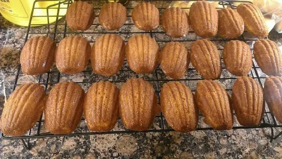 Madeleine