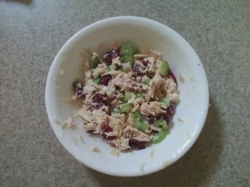 Offenes Thunfisch-Melt