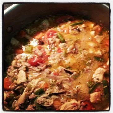 Hausgemachte Puten-, Hähnchen- und Gemüsesuppe