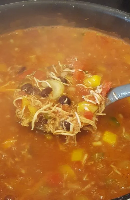 Hähnchen-Fajita-Suppe