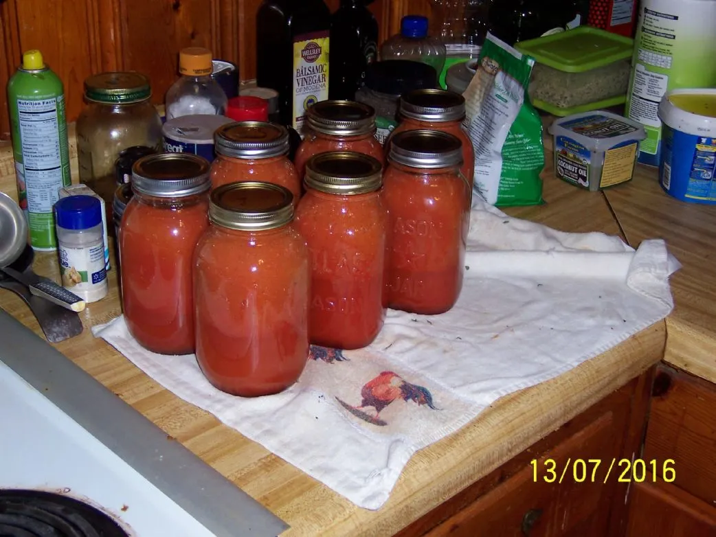 Hausgemachter V-8-Saft 1 Tasse oder 8 oz = 1 Portion