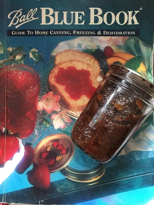 Apfelchutney (1 Portion = 1 oz oder 2 EL)