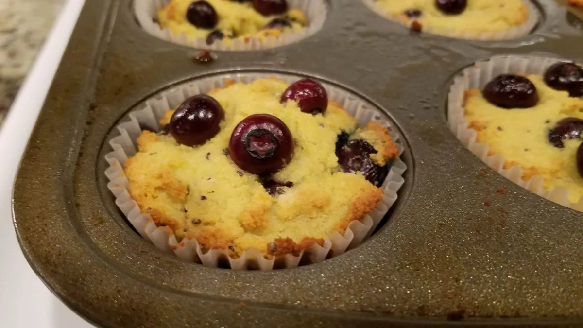 Blaubeermuffins mit Kokosmehl