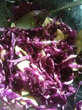 Elanas Coleslaw-Revamp