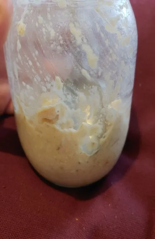 Übernachtete Apfel-Haferflocken