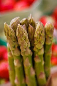 Paleo Power Beste Gemüse EVER!