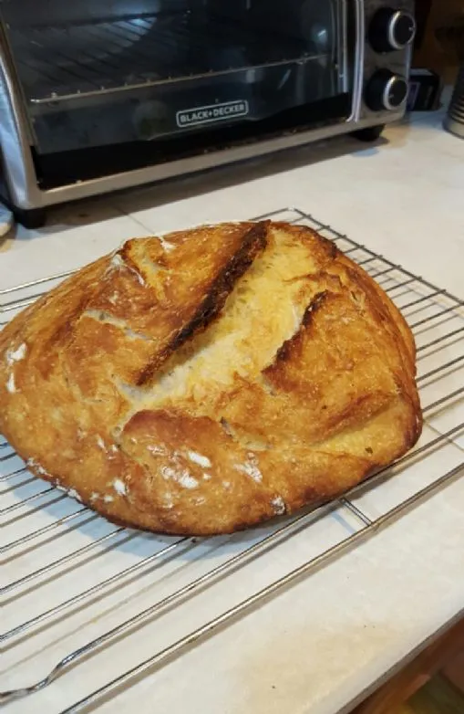 Kein-Kneten knuspriges Brot