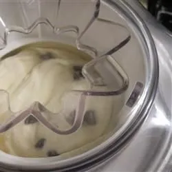 Hausgemachtes Vanilleeis