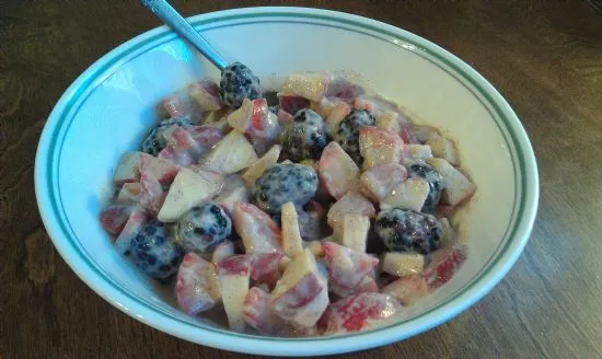 WhichHat's Leckeres Frucht- und Joghurt-Dessert