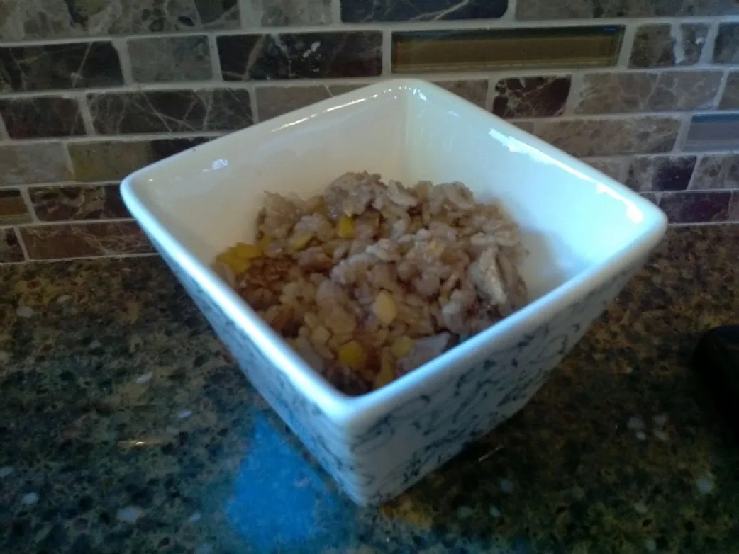 Gewürzter Obst-Haferbrei