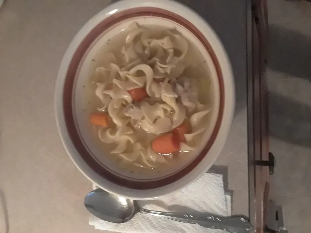 Hausgemachte Hühnernudelsuppe