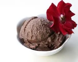 Zivilisierte Höhlenmenschen Schokoladeneis