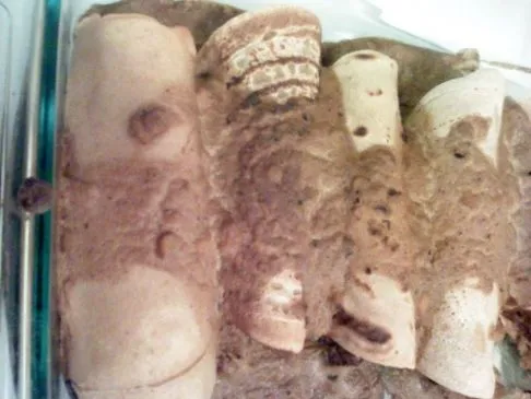 Deutsche Pfannkuchen mit Sauerkrautfüllung (Buchweizenpfannkuchen mit Sauerkrautfüllung)