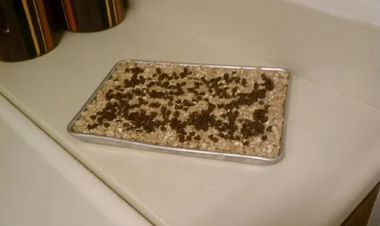 Hausgemachte Müsliriegel