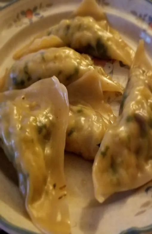 Hühnchen-Potstickers