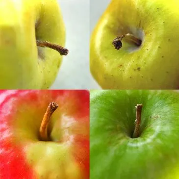 Nikkis schuldfreier Apfelkuchen