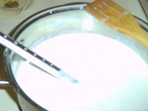 Veganer Joghurt aus dem Dutch Oven