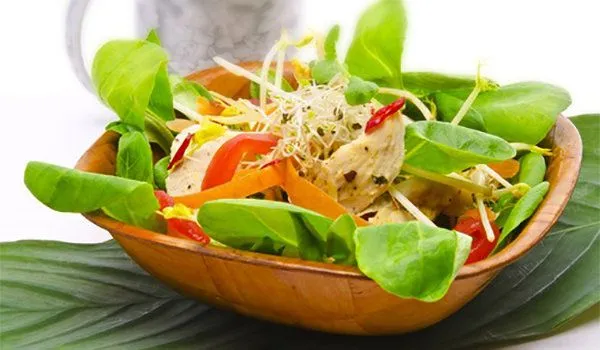 Gartensalat mit Zitronen-Öl-Dressing