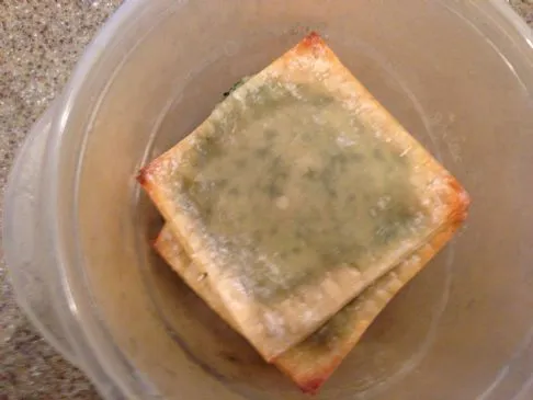 Spinat-Wonton-Ravioli