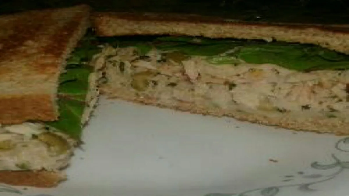 Toskanische Thunfisch- und Weiße-Bohnen-Sandwiches