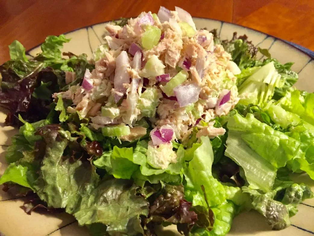 Thunfischsalat auf einem Bett aus rotem Blattsalat