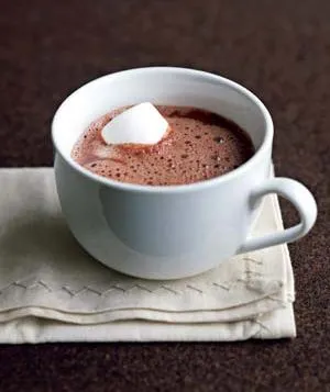 Dunkles Schokoladenelixier