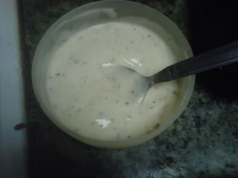 Hausgemachtes Burger-Dressing