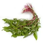 Löwenzahn- oder Rucolasuppe