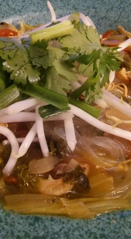 Faux Pho mit Hähnchen und Gemüse (Glasnudeln optional)