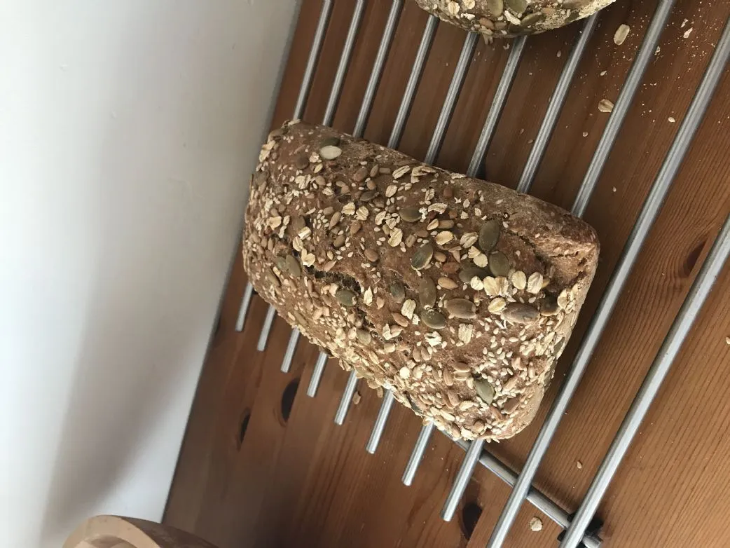 Saaten-Vollkornbrot - Kein Kneten