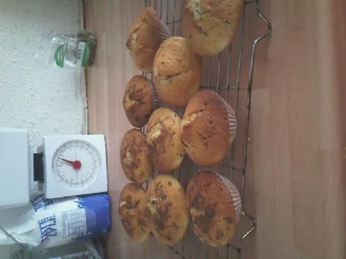 Kleine Schokoladenstückchen-Muffins