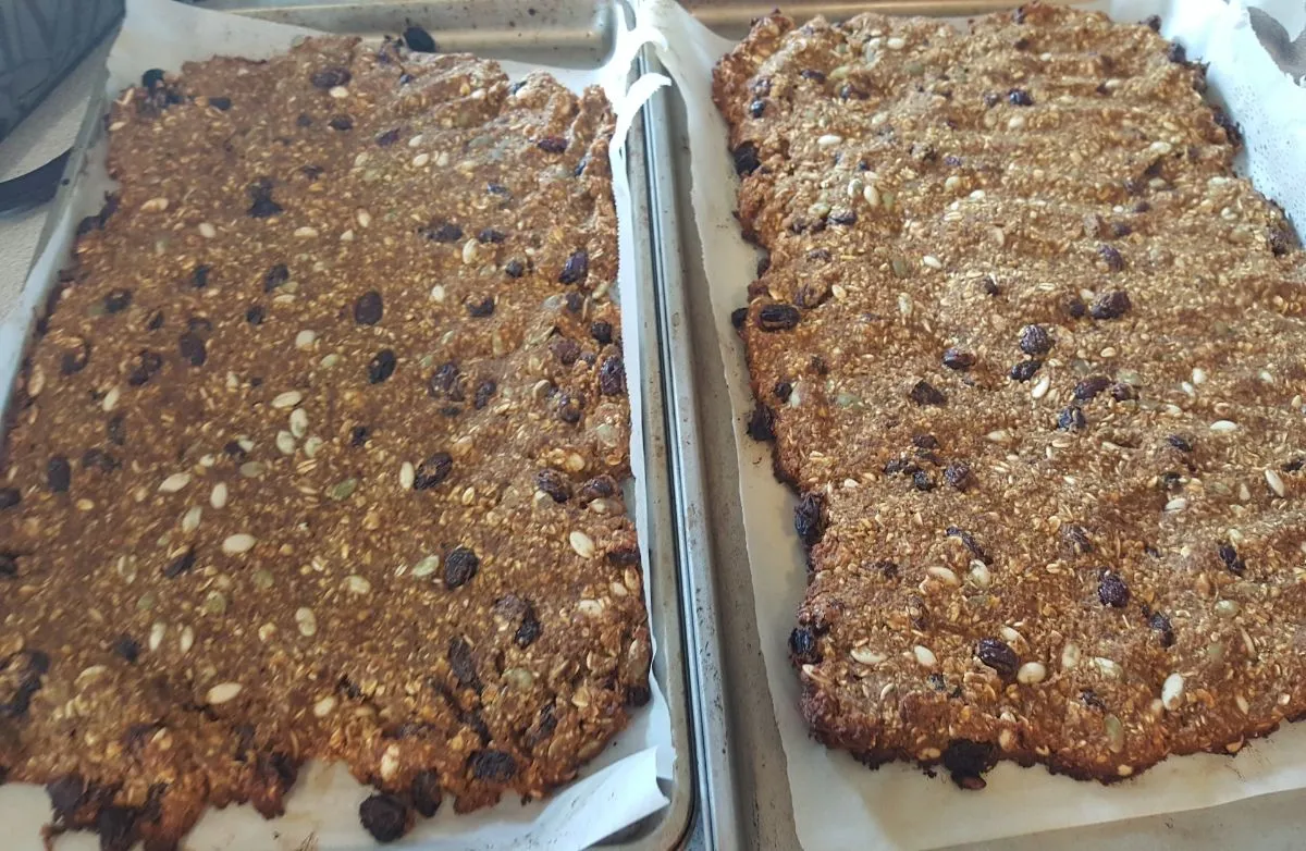 Kürbis-Hafer-Frühstücksriegel (vegan)