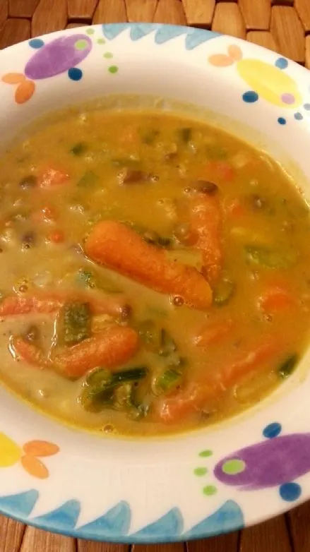 Karotten-Kokos-Kürbis "Lauchige" Suppe
