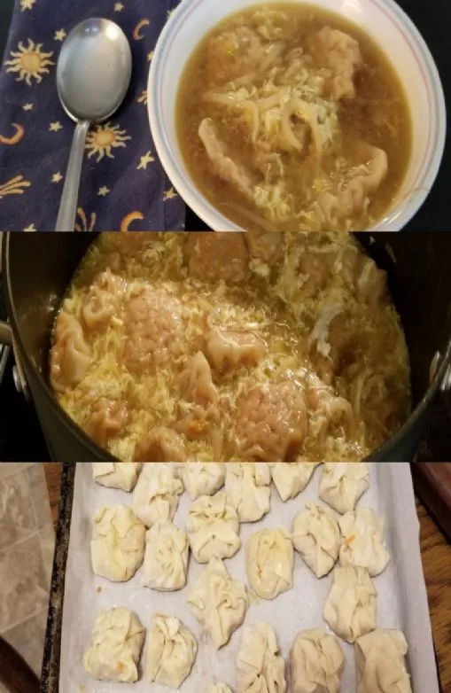 Fleischlose Wontons für den Montag