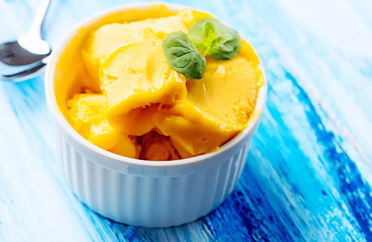 Low-Carb Mixer-Sorbet