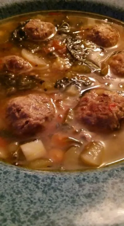 Bessere Albondigas, auch bekannt als inulin-präbiotisch angereicherte Albondigas